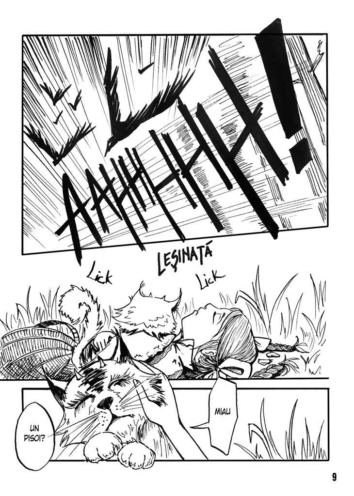 Colecționarul de basme - Jocul Ielelor - pagina 11