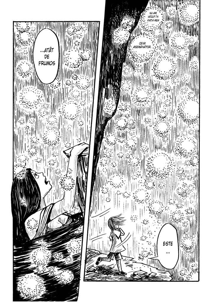 Colecționarul de basme - D'Ale Apei - pagina 23