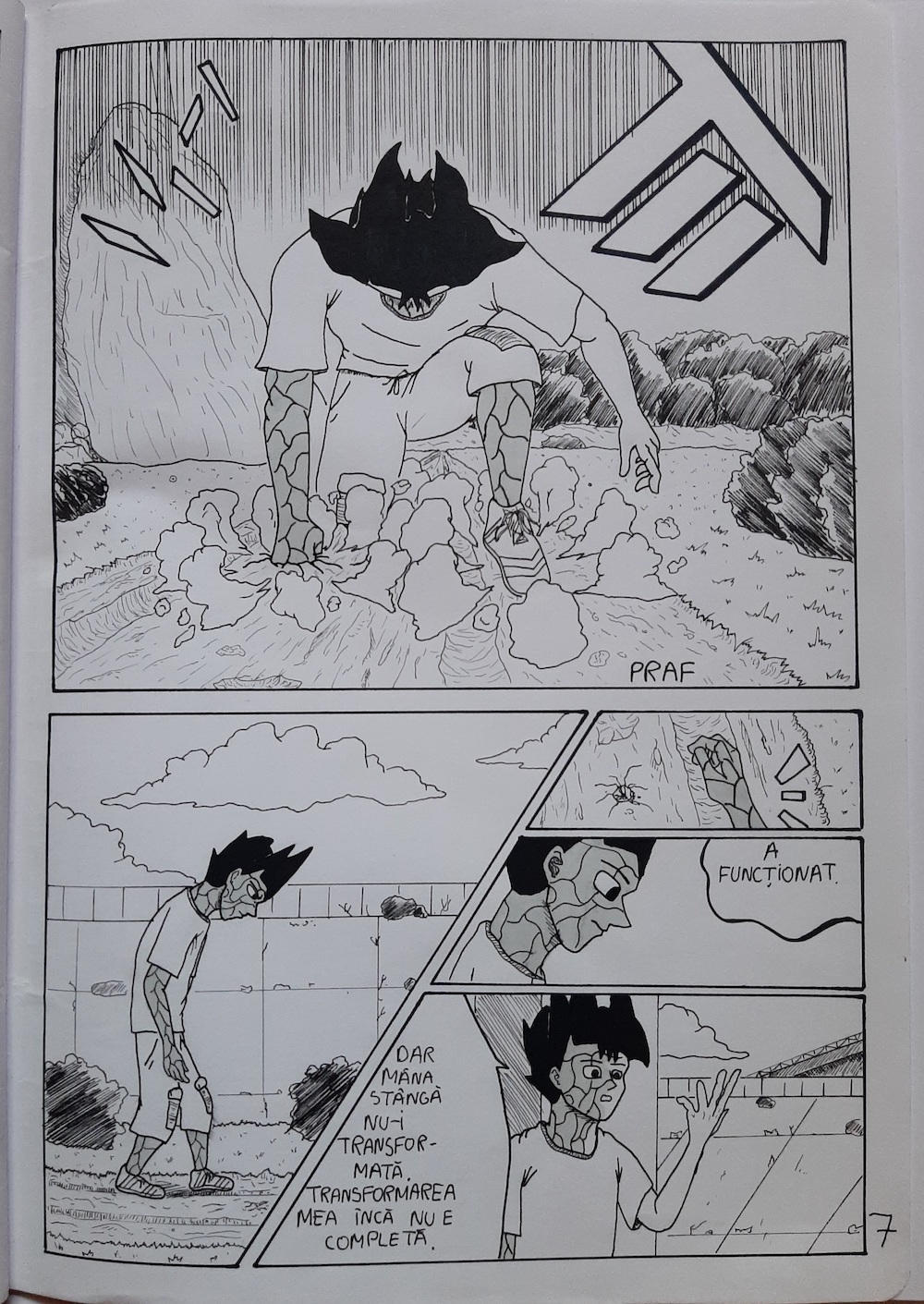 ROCKMAN - Stăpânirea puterii - pagina 7