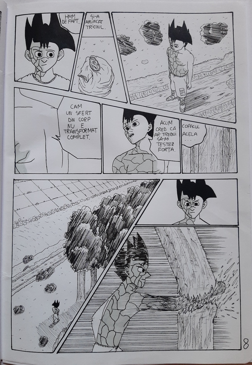 ROCKMAN - Stăpânirea puterii - pagina 8