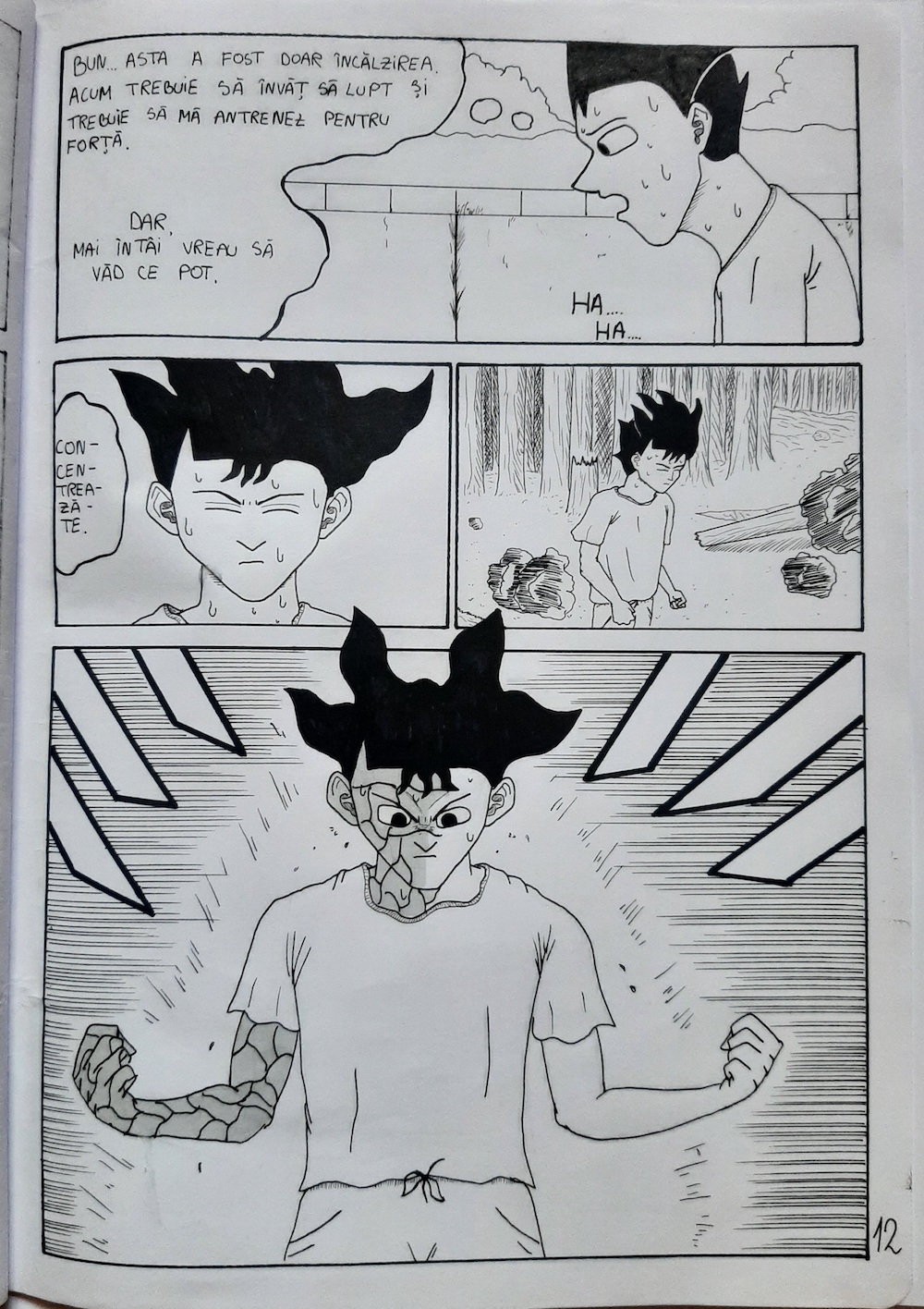 ROCKMAN - Stăpânirea puterii - pagina 12