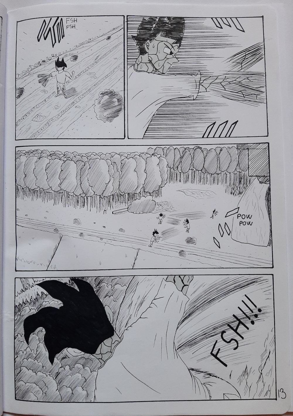 ROCKMAN - Stăpânirea puterii - pagina 13