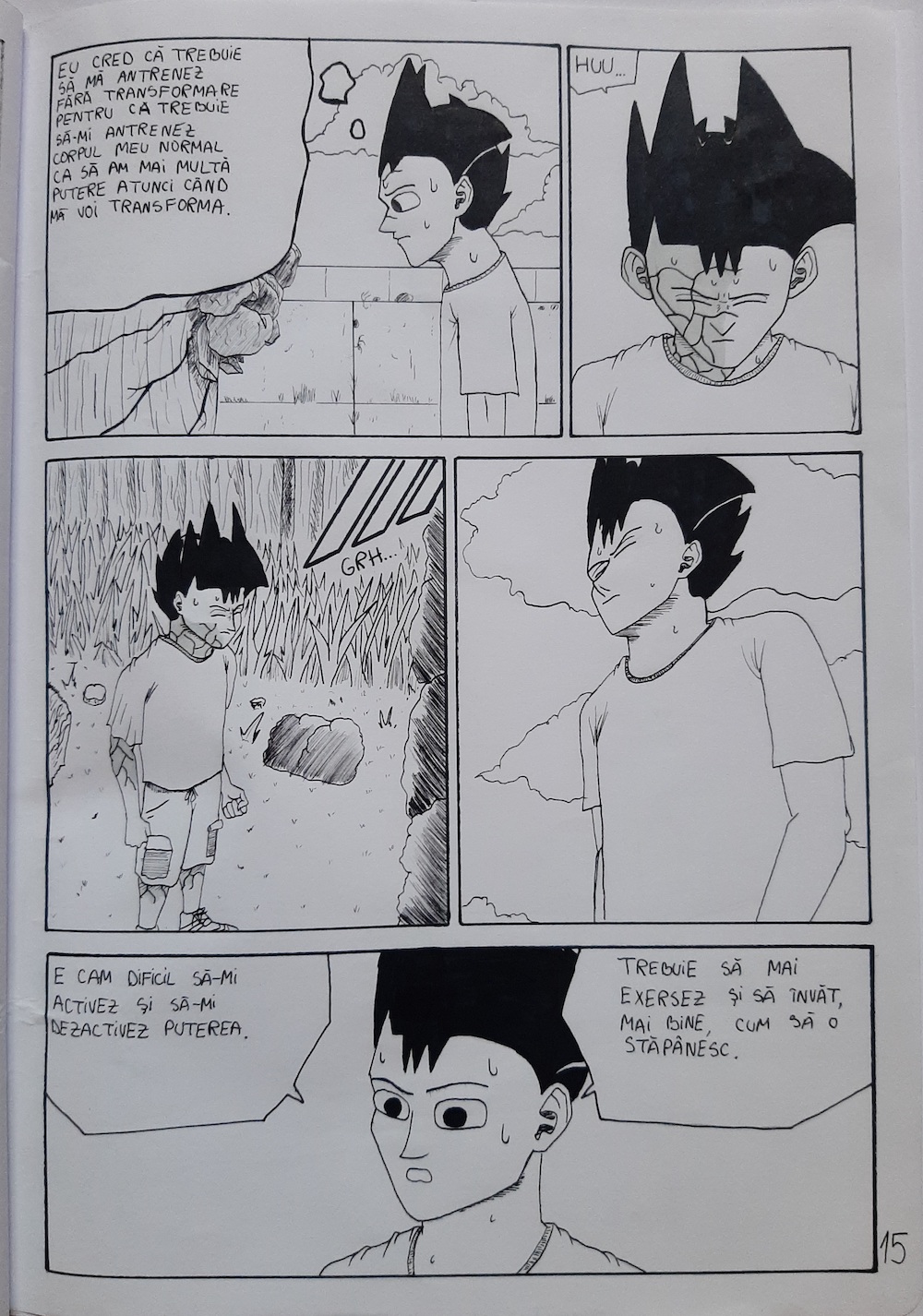 ROCKMAN - Stăpânirea puterii - pagina 15